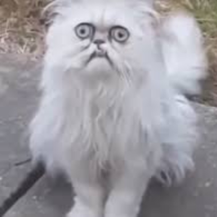 God_of_Pixels (godofpixels.eth) Ethereum Name Service (ENS and .eth domain) PFP