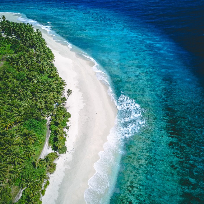 konghong.eth Ethereum Name Service (ENS and .eth domain) PFP