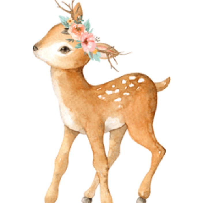 lily50.eth Ethereum Name Service (ENS and .eth domain) PFP