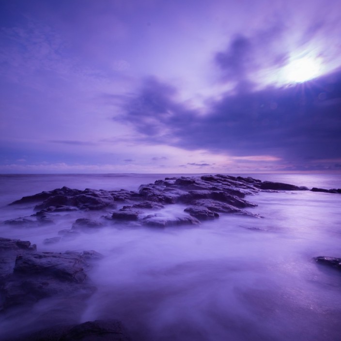 macrorigid.eth Ethereum Name Service (ENS and .eth domain) PFP