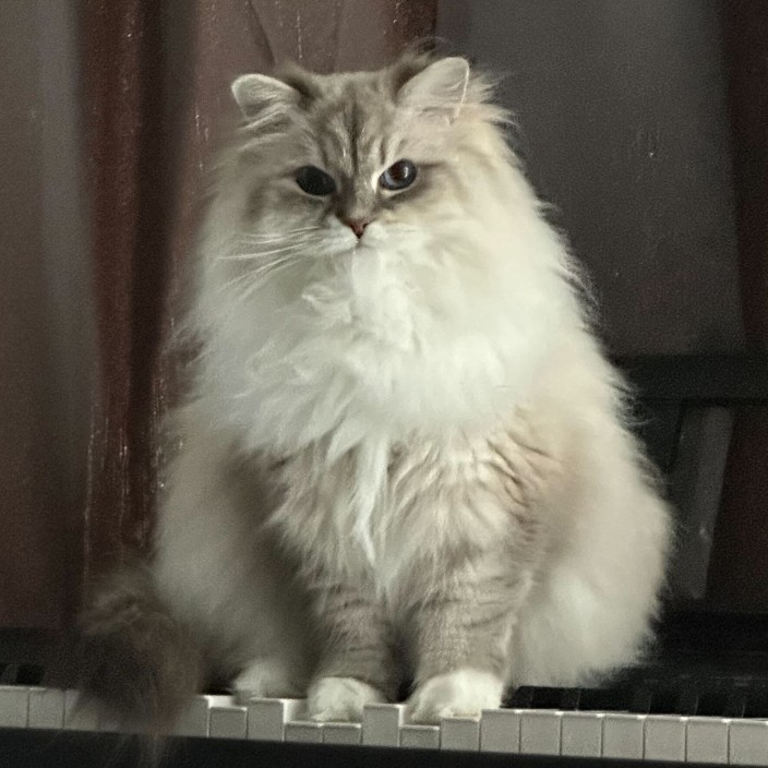 ralphtang.eth Ethereum Name Service (ENS and .eth domain) PFP