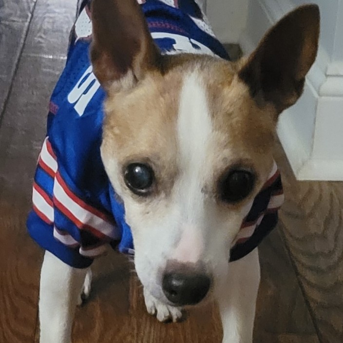 robobax.eth Ethereum Name Service (ENS and .eth domain) PFP