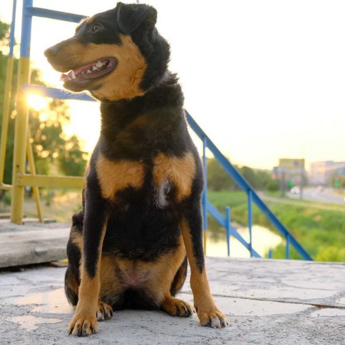 sanyrang.eth Ethereum Name Service (ENS and .eth domain) PFP