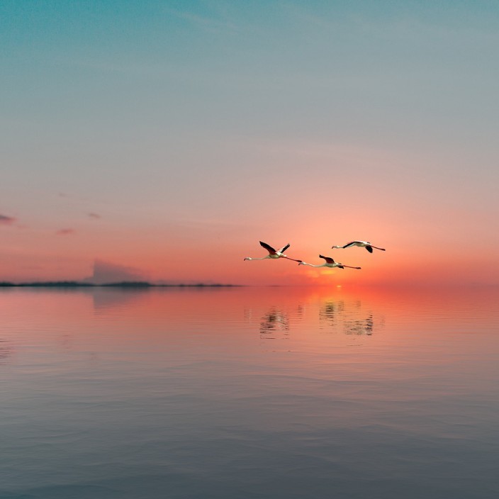 silnsun.eth Ethereum Name Service (ENS and .eth domain) PFP