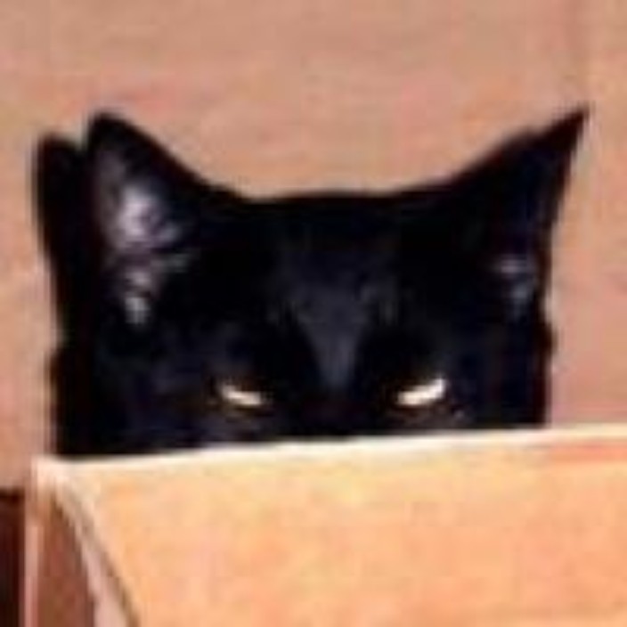 sotoshi.eth Ethereum Name Service (ENS and .eth domain) PFP