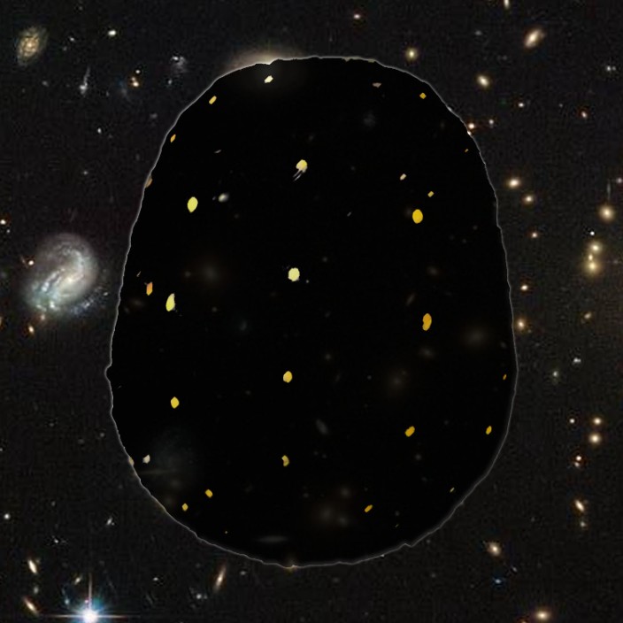 Turtles (turtles.lens) Lens social identity (.lens handle) PFP