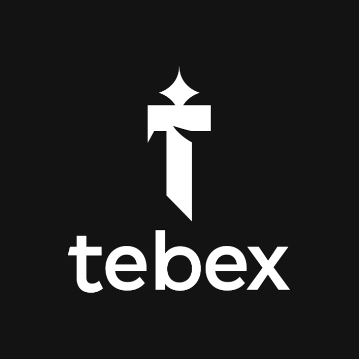 tebex.eth Ethereum Name Service (ENS and .eth domain) PFP