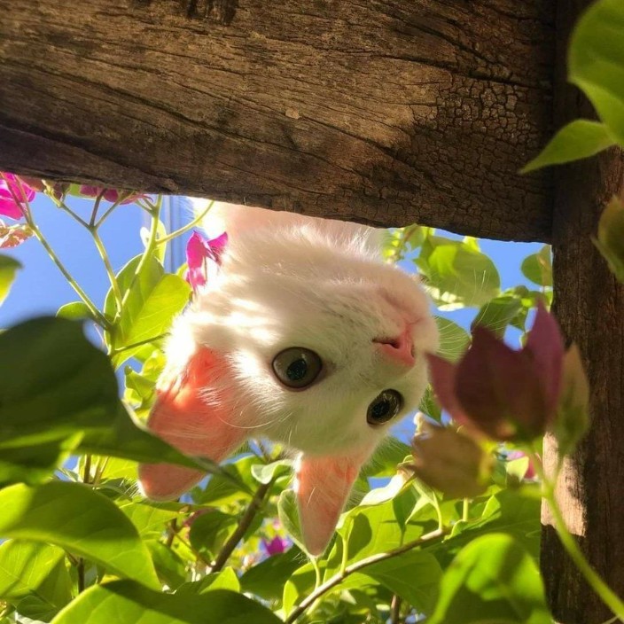 trtrtr.eth Ethereum Name Service (ENS and .eth domain) PFP