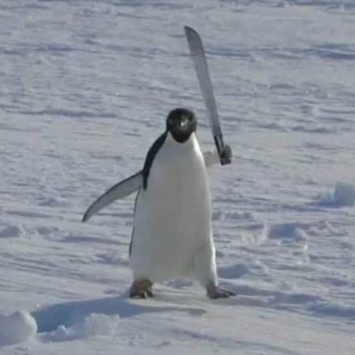 zerberfert.eth Ethereum Name Service (ENS and .eth domain) PFP