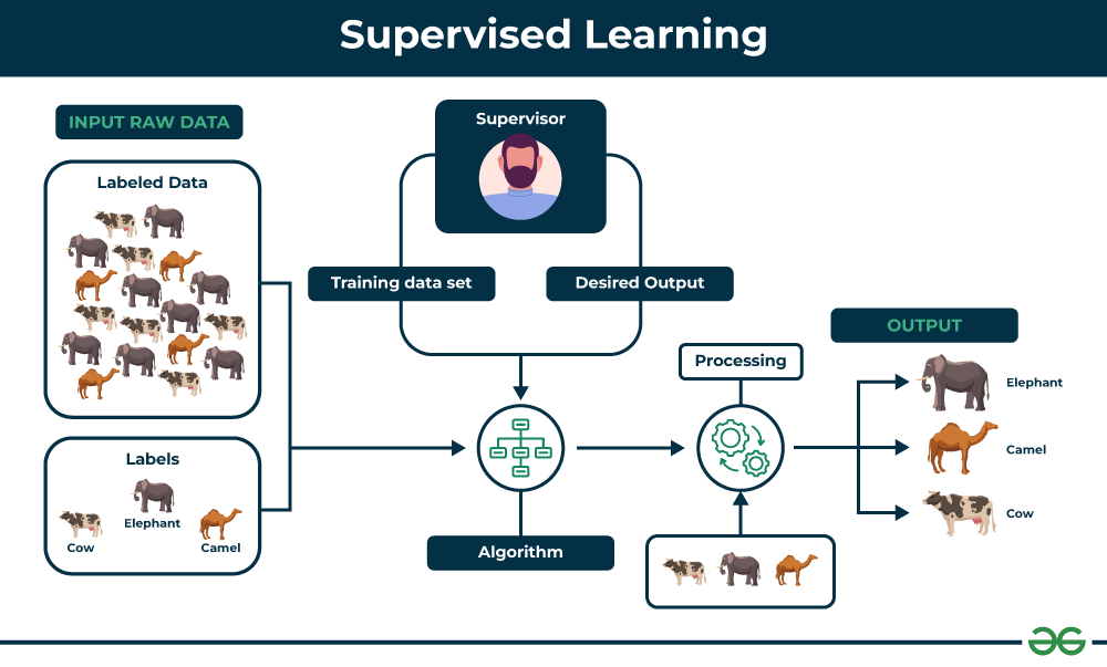 what is supervised learning key examples explained