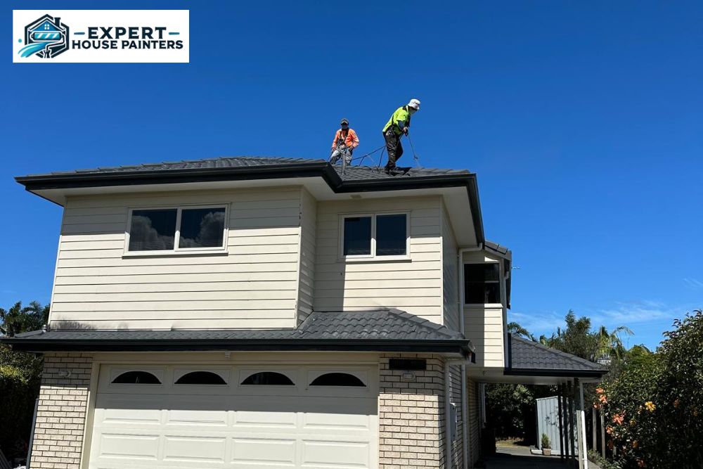 Roof Painting