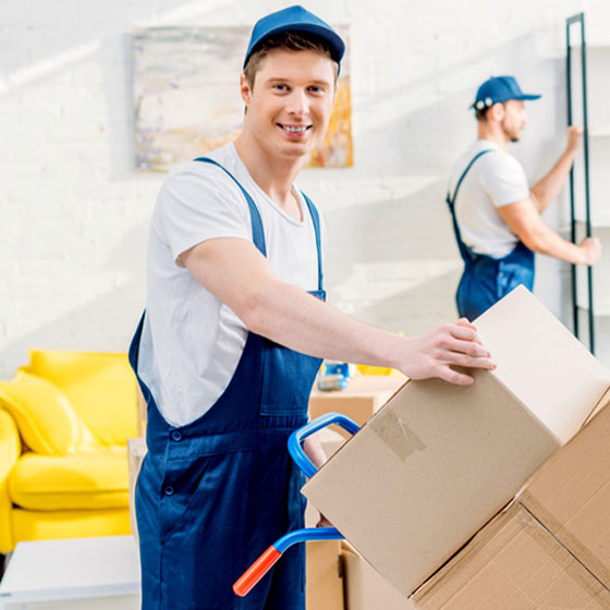 moving services christchurch