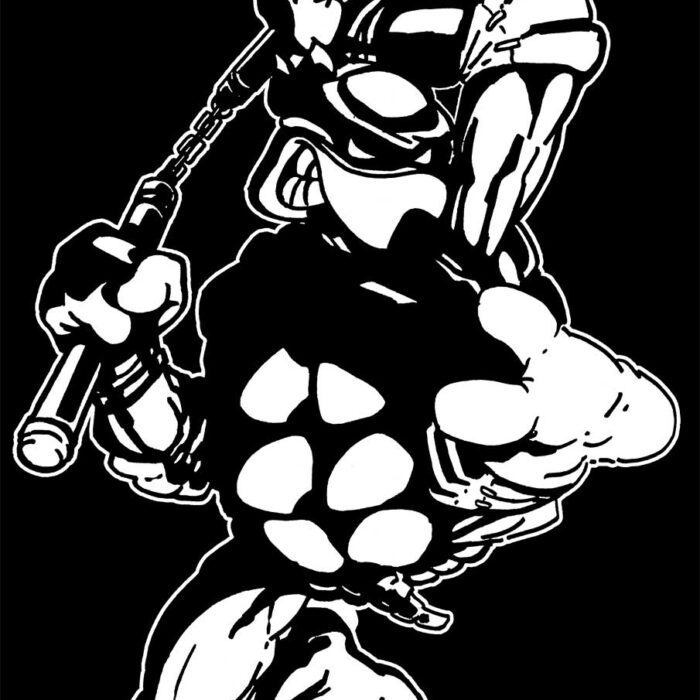 1984 TMNT Original Michaelangelo Tee