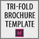 Tri Fold Brochure Template