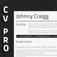 Professional CV Template