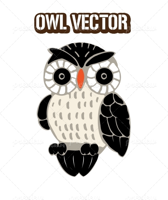 Owl Vector