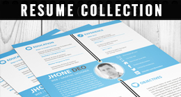 RESUME COLLECTION