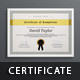 Multi-Purpose Certificate Templates