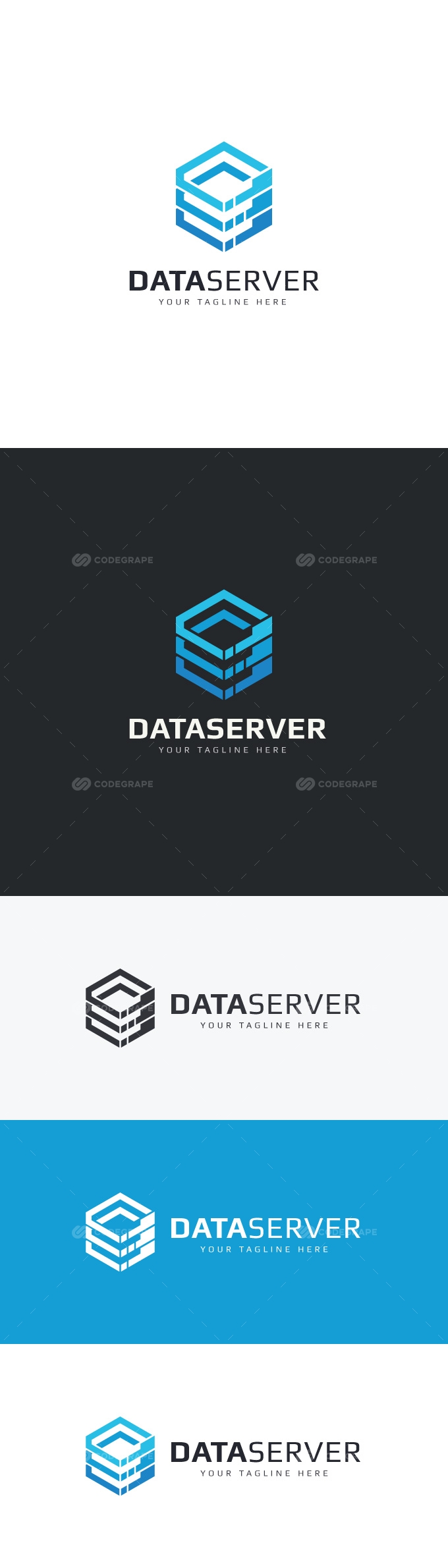 Data Server Logo