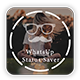 WhatsApp Status Saver
