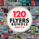 120 Flyer Templates Bundle with Extended License