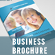 Business Brochure
