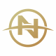 N Letter Logo