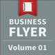 Business Flyer - Volume 01