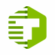 T Letter Hexagon Logo
