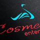 Cosmetic Enterprises Logo Template