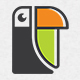 Toucan Letter Logo Template