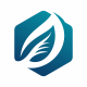Nature Leaf Hexagon Logo