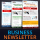 Multipurpose Modern Business Newsletter