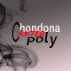 chondonaakterpoly