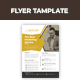 Business Flyer Template
