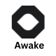 Awake Agency Nextjs Template