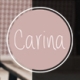 Carina - Personal & Portfolio WordPress Theme