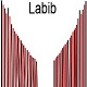 Labibsdesigns