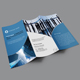 Business Tri Fold Brochure