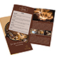 Ca De La Coffee Bi Fold Brochure