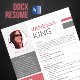 Professional 3 in 1 Word Resume