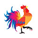 Rooster Illustration