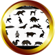 22 Animals Icon
