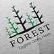 Forest Logo Template