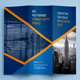 Tri Fold Brochure