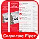 Corporate Flyer