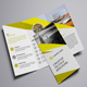 Tri Fold Brochure