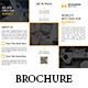 Corporate Trifold Brochure
