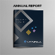 Annual Report Indesign