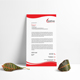 Letterhead Template